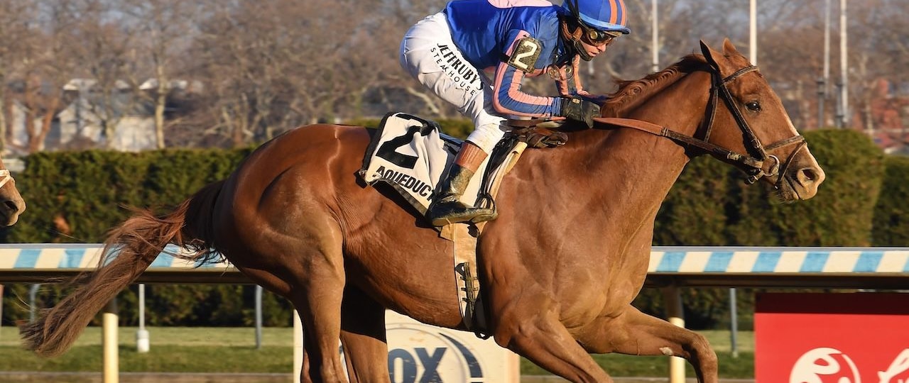 Paladin wins the Remsen Stakes at Aqueduct.