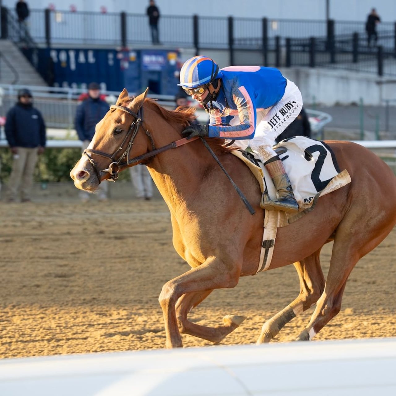 Paladin wins the Remsen Stakes at Aqueduct.