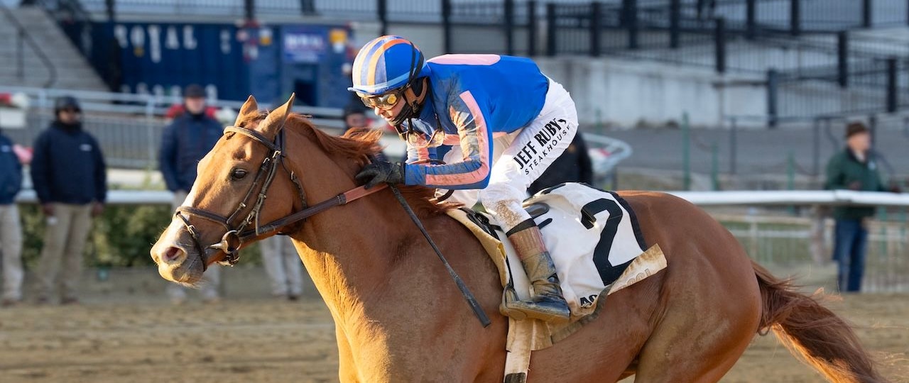 Paladin wins the Remsen Stakes at Aqueduct.