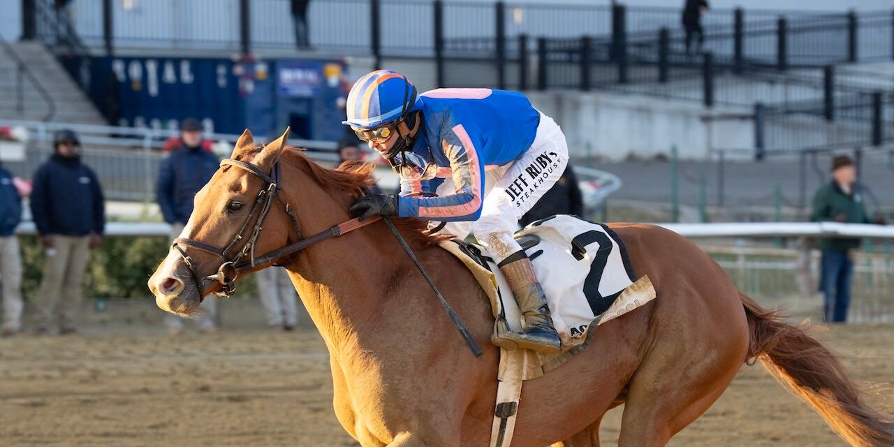 Paladin wins the Remsen Stakes at Aqueduct.