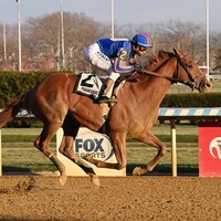 Paladin wins the Remsen Stakes at Aqueduct. 