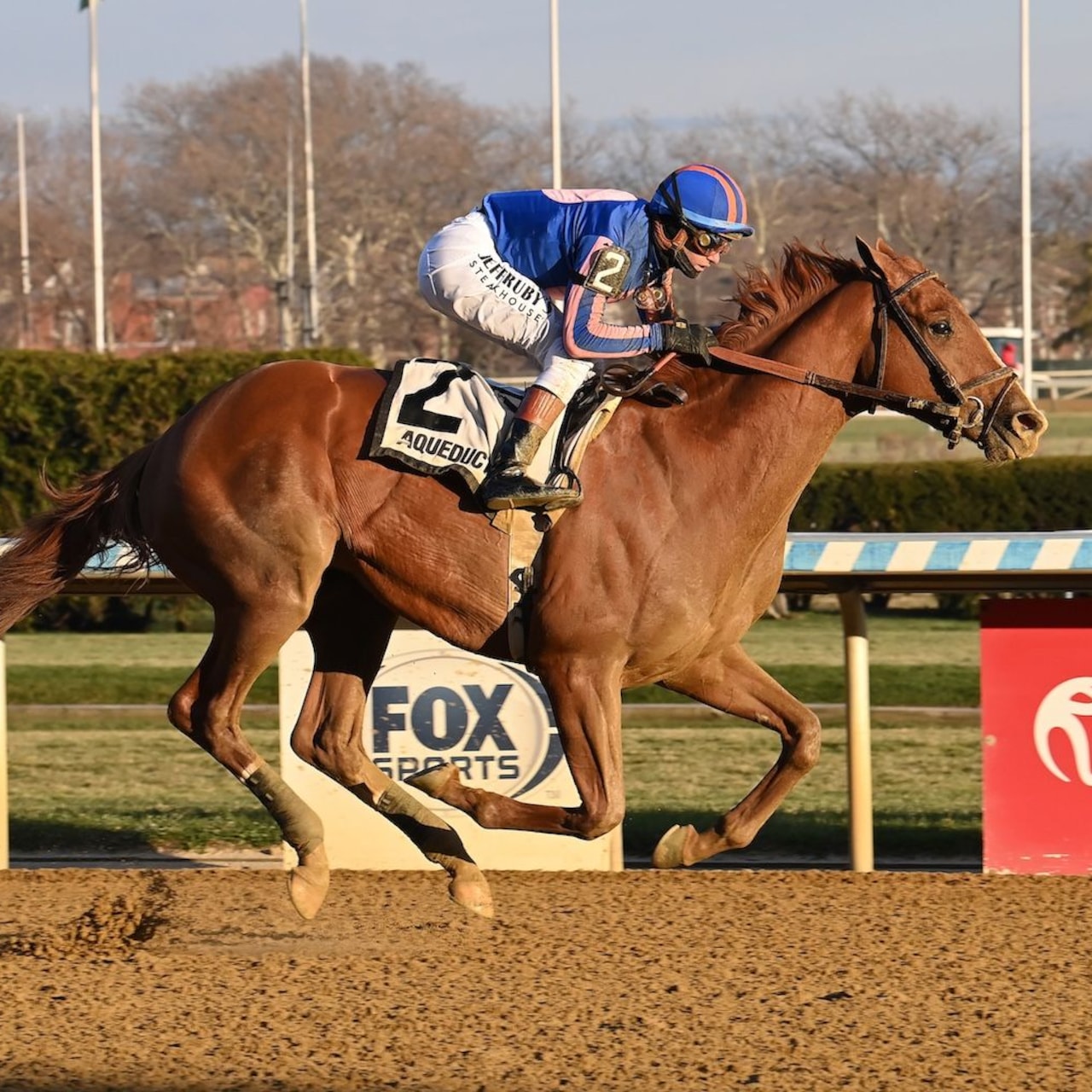 Paladin wins the Remsen Stakes at Aqueduct.