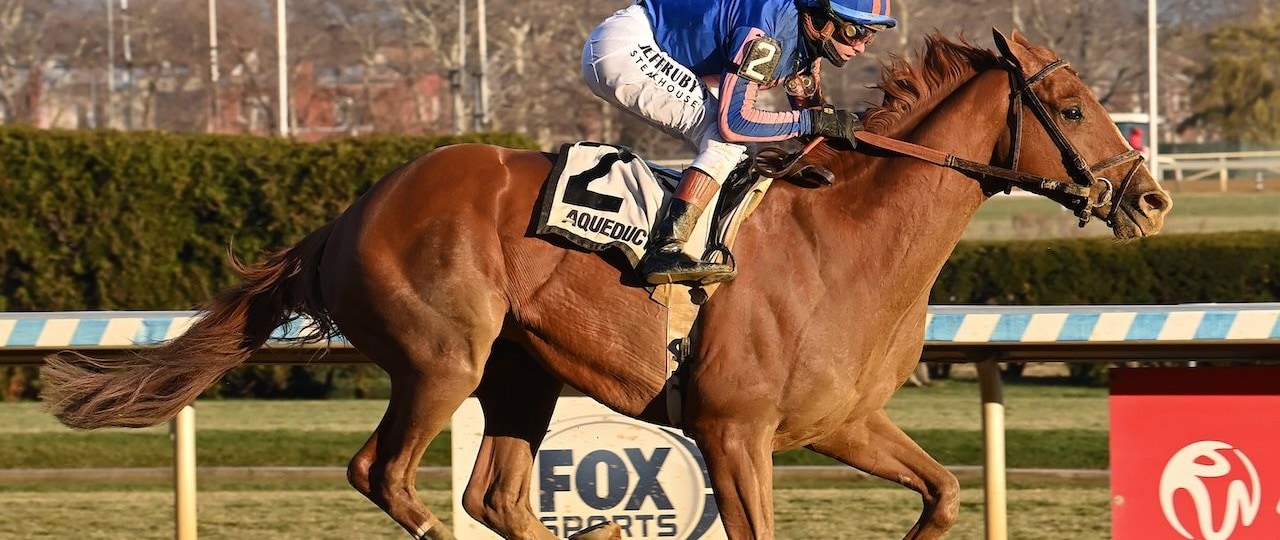 Paladin wins the Remsen Stakes at Aqueduct.