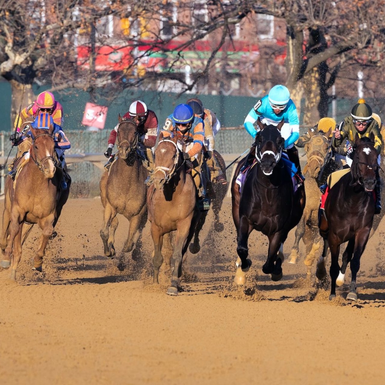 Paladin wins the Remsen Stakes at Aqueduct.