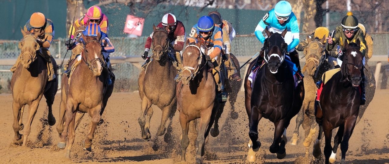 Paladin wins the Remsen Stakes at Aqueduct.
