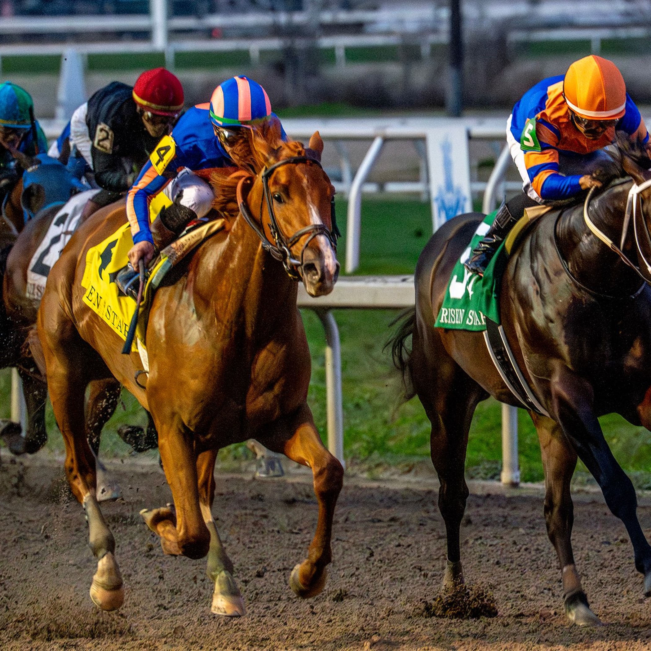 Paladin wins the Risen Star Stakes at Fair Grounds.