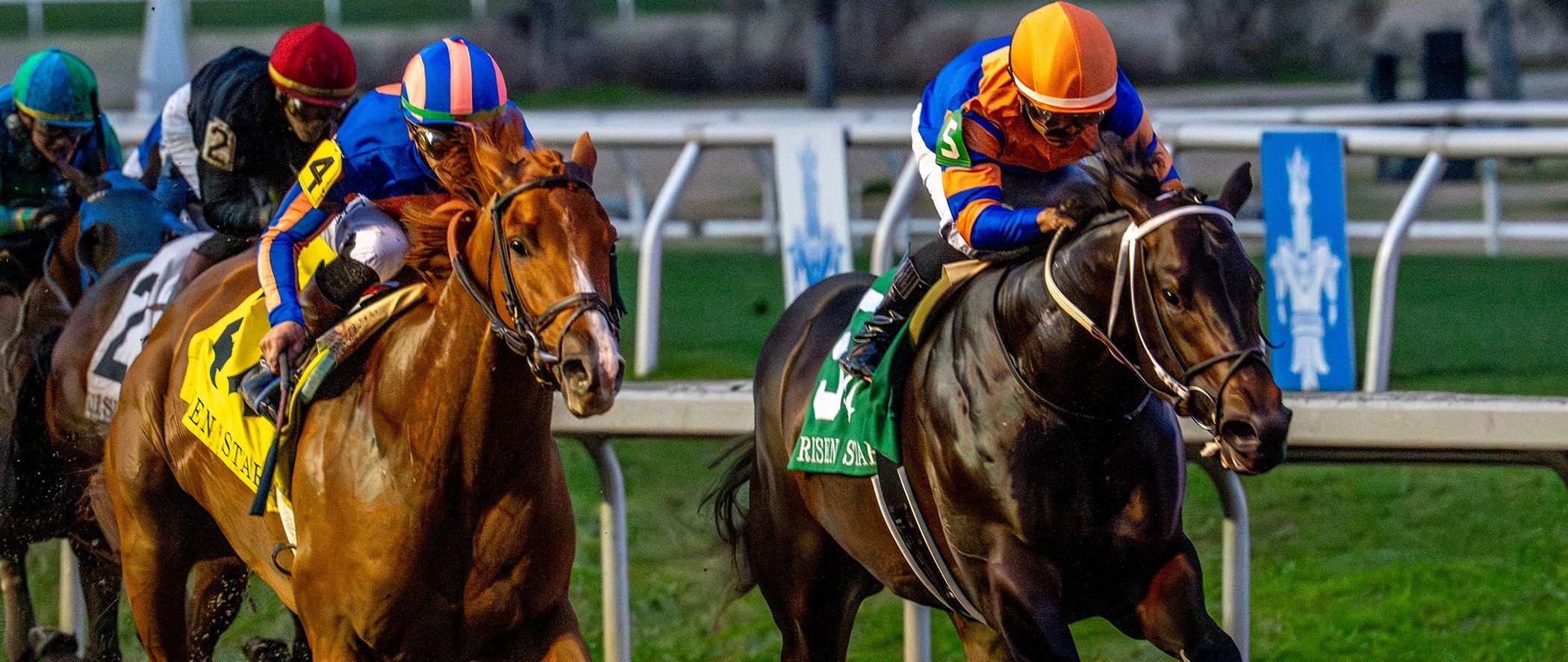 Paladin wins the Risen Star Stakes at Fair Grounds.