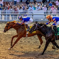 Paladin wins the Risen Star Stakes at Fair Grounds. 