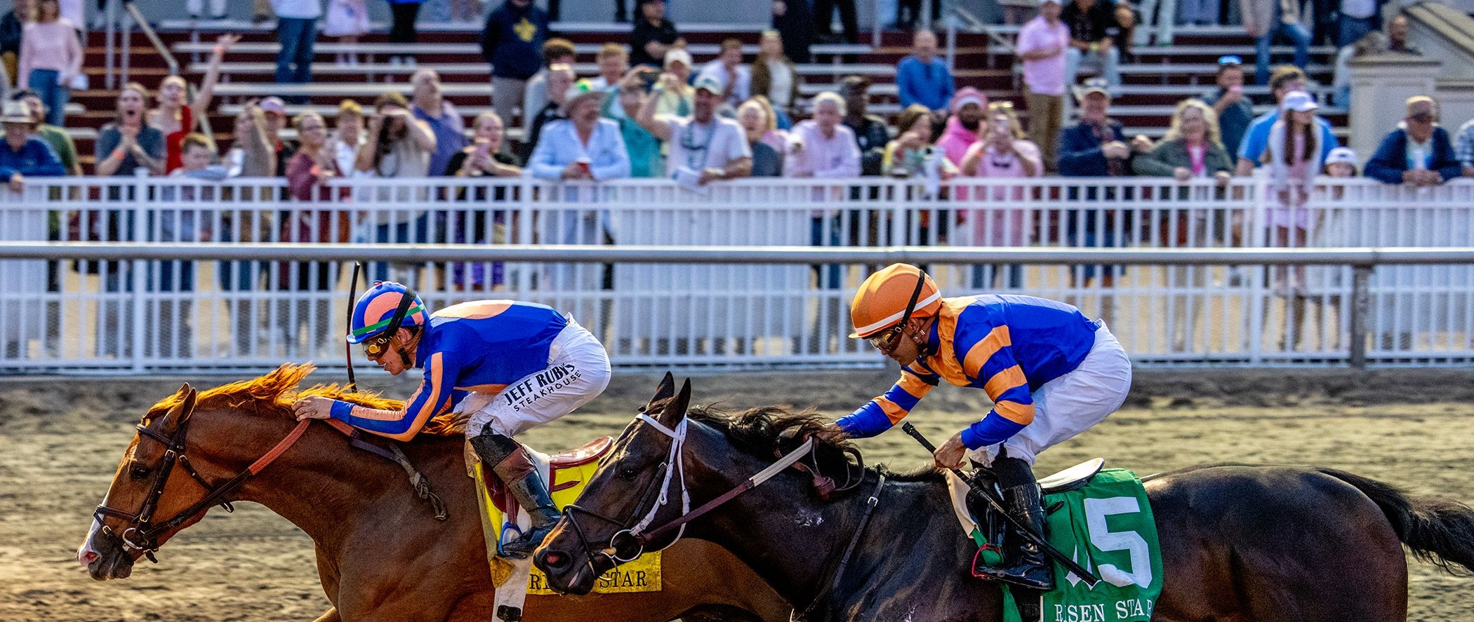 Paladin wins the Risen Star Stakes at Fair Grounds.
