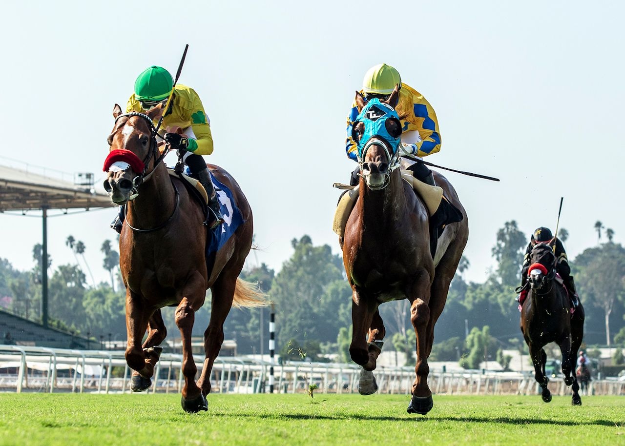 Pali Kitten and Smash it go neck and neck in the Speakeasy at Santa Anita.
