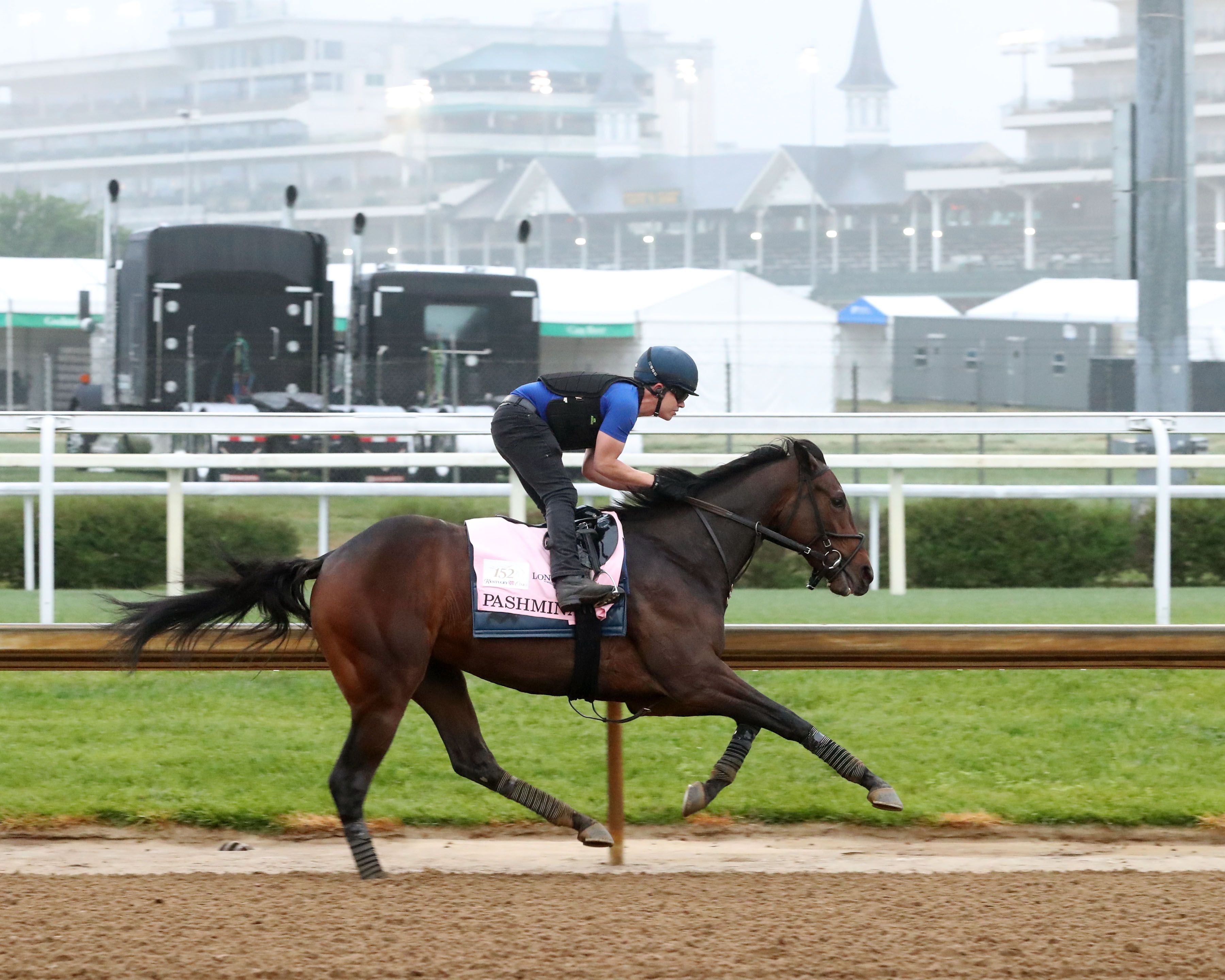 Pashmina training at Churchill Downs