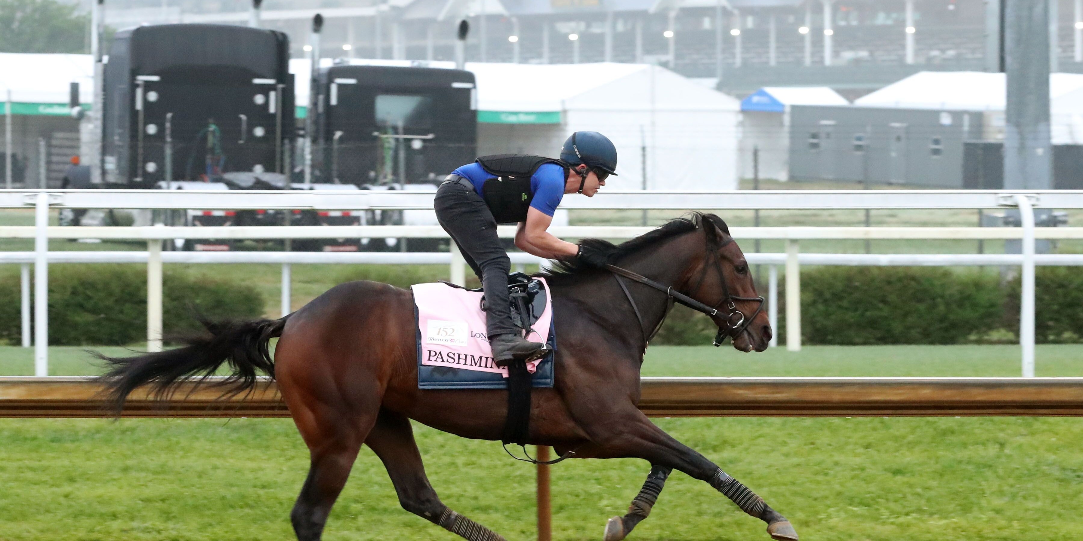 Pashmina training at Churchill Downs