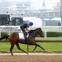 Pashmina training at Churchill Downs