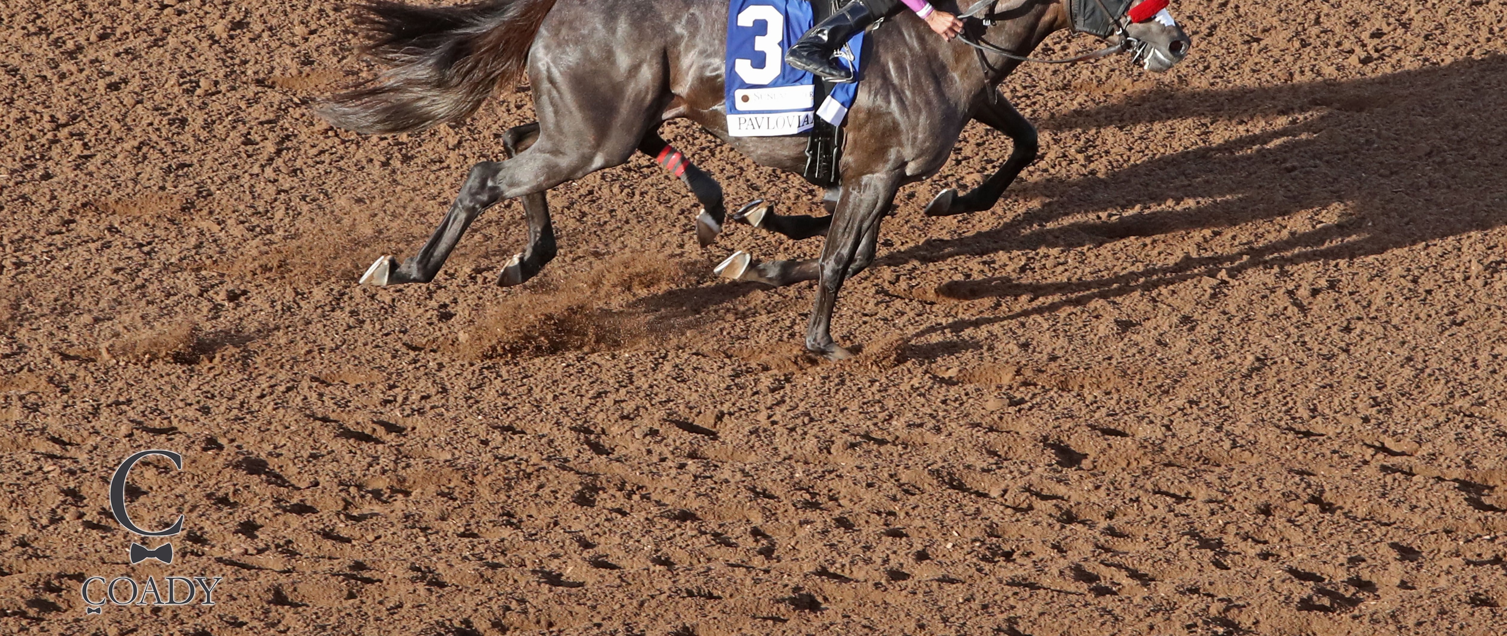 Pavlovian (outside) catches Express Kid in a thrilling Sunland Park Derby at Sunland Park