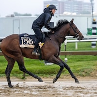 Pay Billy trains at Pimlico for the Preakness S. 2025 (Photo by MJC/Jerry Dzierwinski)