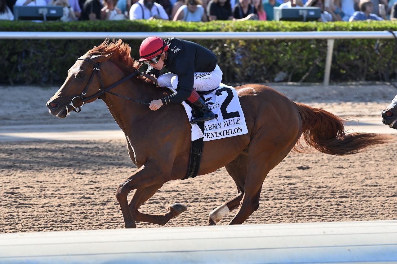 Pentathlon wins the Army Mule at Gulfstream Park.
