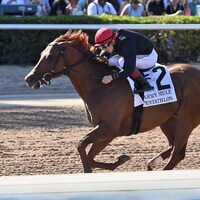Pentathlon wins the Army Mule at Gulfstream Park.