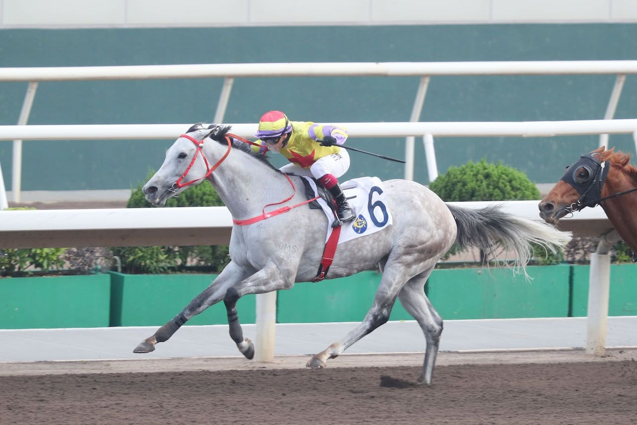 Ping Hai Galaxy is chasing successive Sha Tin wins