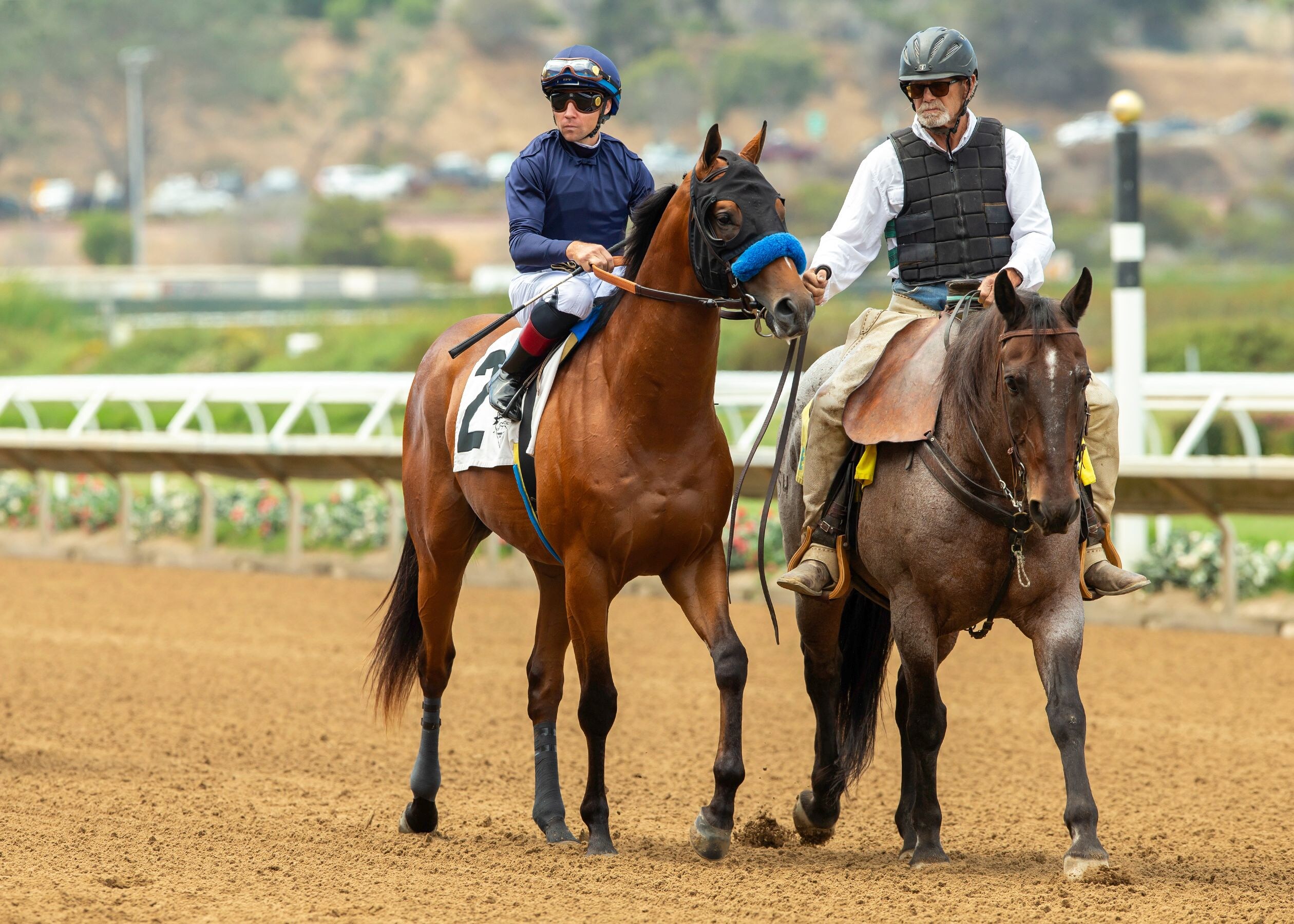 Plutarch in the post parade at Del Mar prior to his Aug. 2025 debut