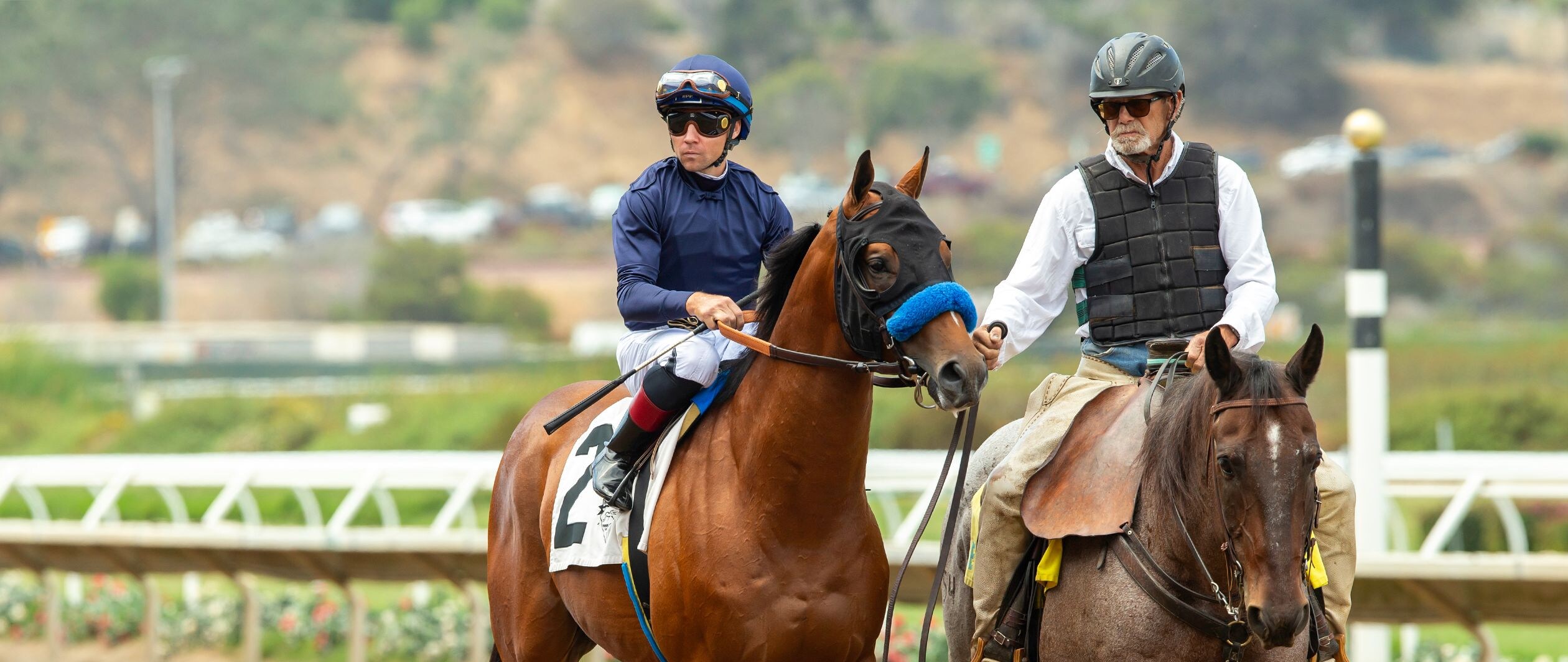 Plutarch in the post parade at Del Mar prior to his Aug. 2025 debut