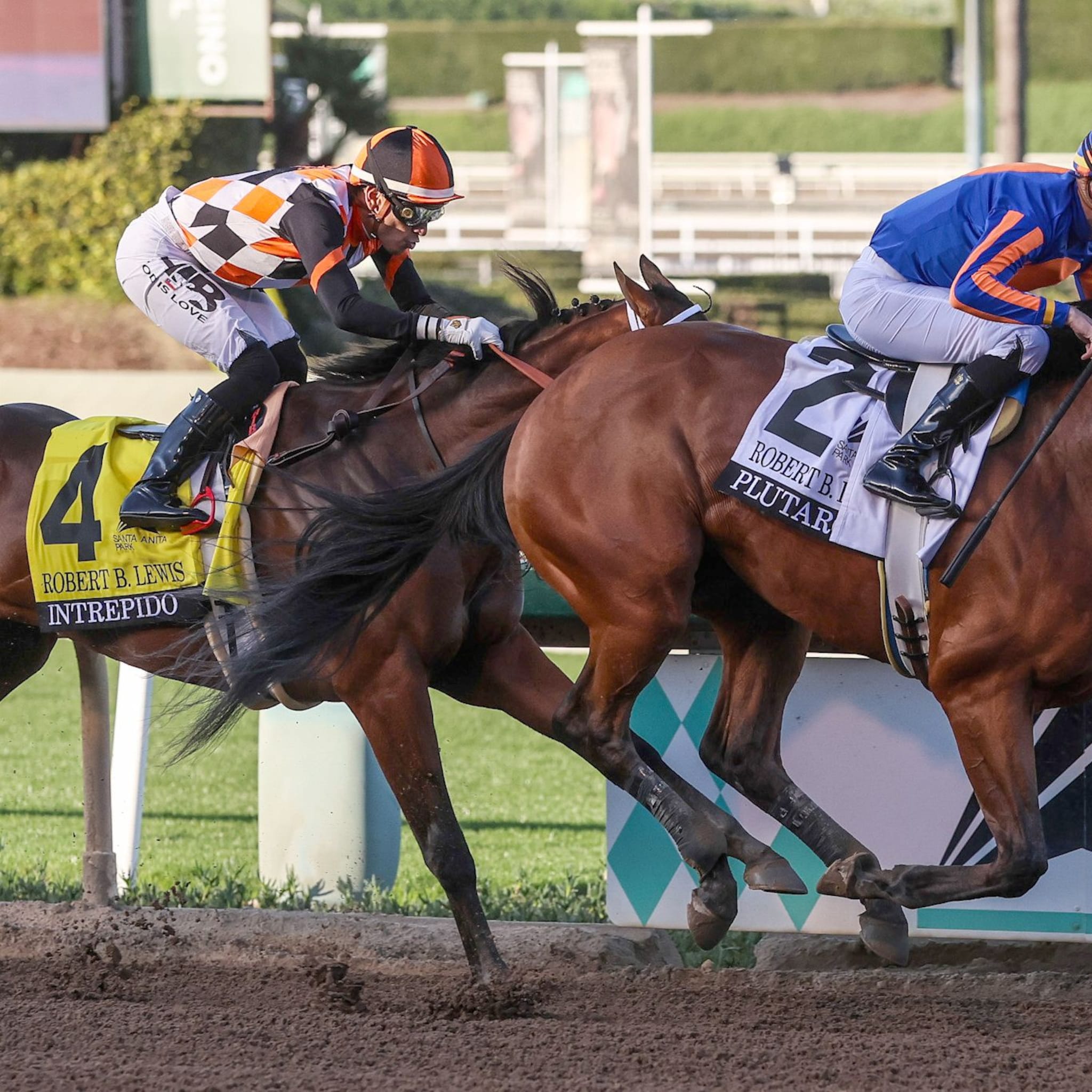 Plutarch wins the Robert B. Lewis at Santa Anita. 