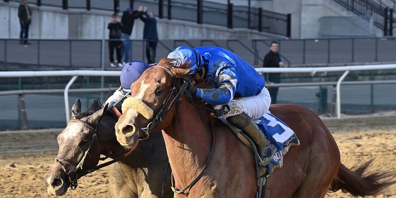 Poster winning the Remsen (G2) at Aqueduct (Photo by Coglianese Photos/Joe Labozzetta)