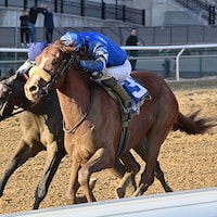 Poster winning the Remsen (G2) at Aqueduct (Photo by Coglianese Photos/Joe Labozzetta)