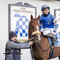 Poster winning the Remsen (G2) at Aqueduct (Photo by Coglianese Photos/Walter Wlodarczyk)