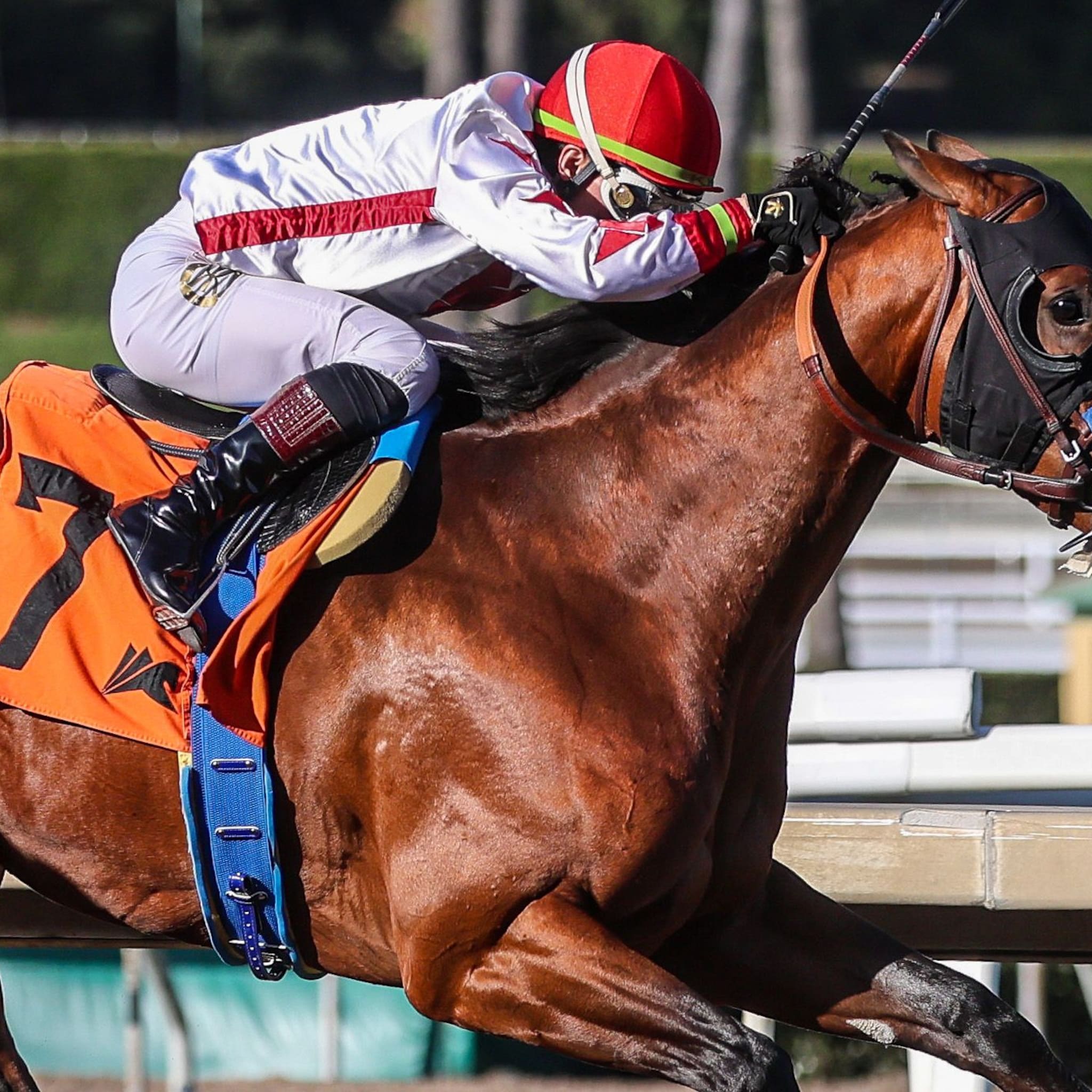 Potente winning his debut at Santa Anita