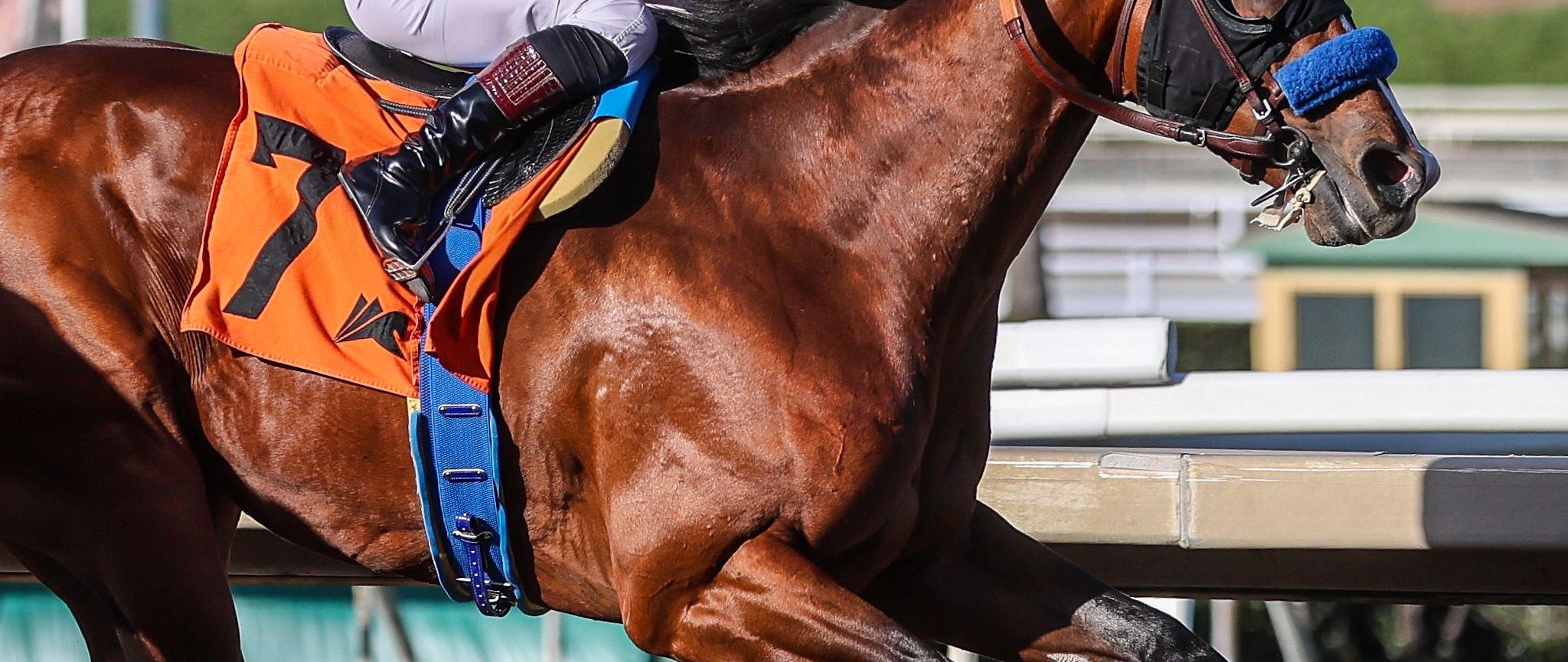 Potente winning his debut at Santa Anita