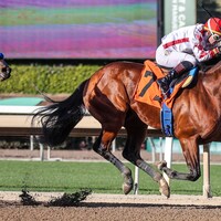 Potente winning his debut at Santa Anita