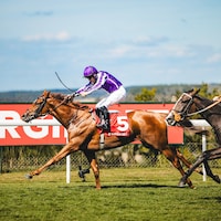 Precise captures the Prestige (G3) at Goodwood