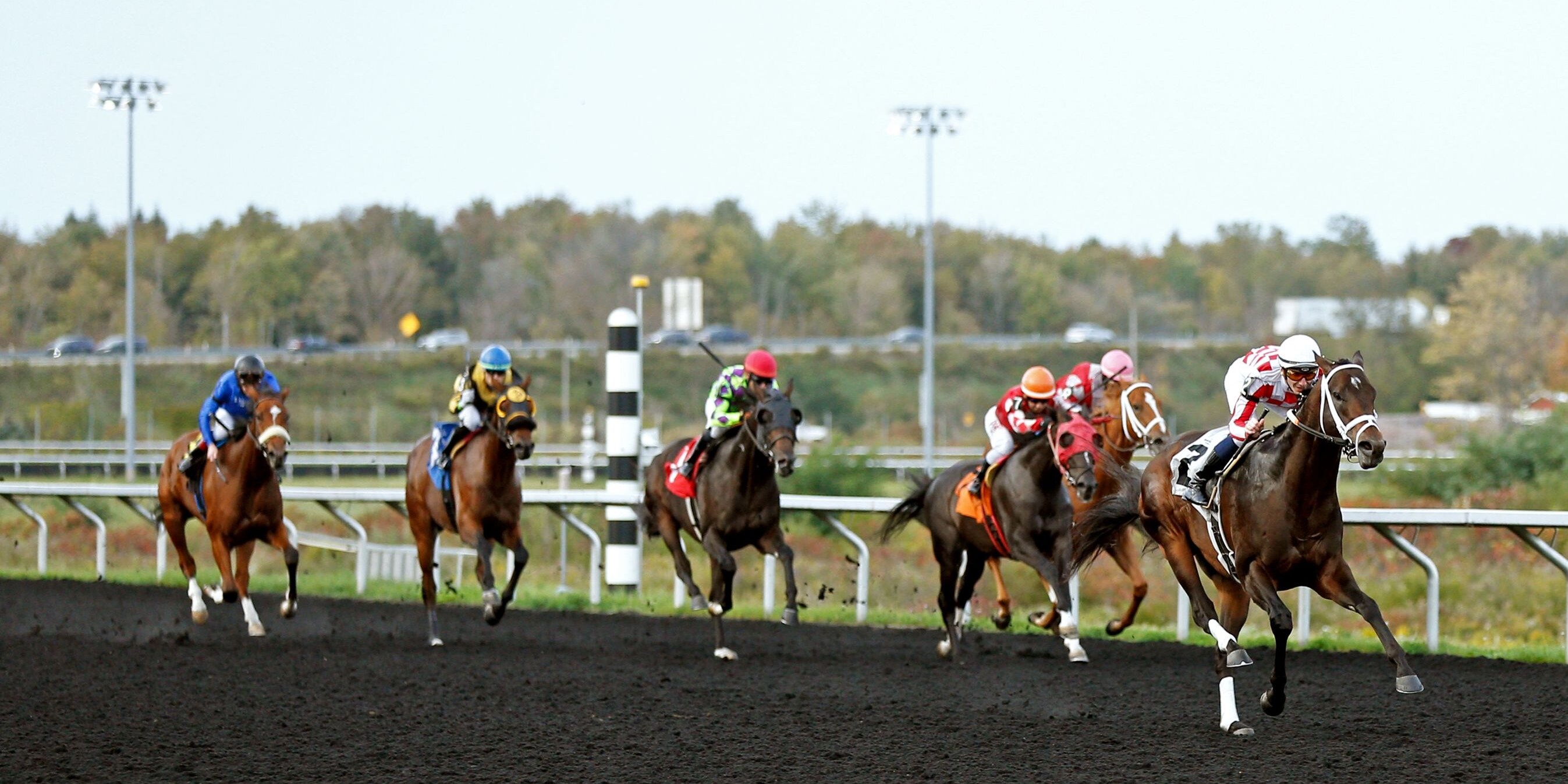Down the stretch at Presque Isle Downs