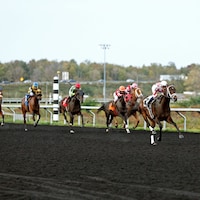 Down the stretch at Presque Isle Downs