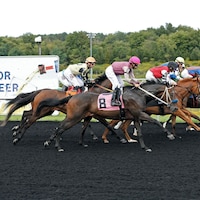 Presque Isle Downs Racing (Photo by Coady Media/Presque Isle Downs)