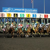 Presque Isle Downs starting gate (Photo by Coady Photography/Presque Isle Downs)