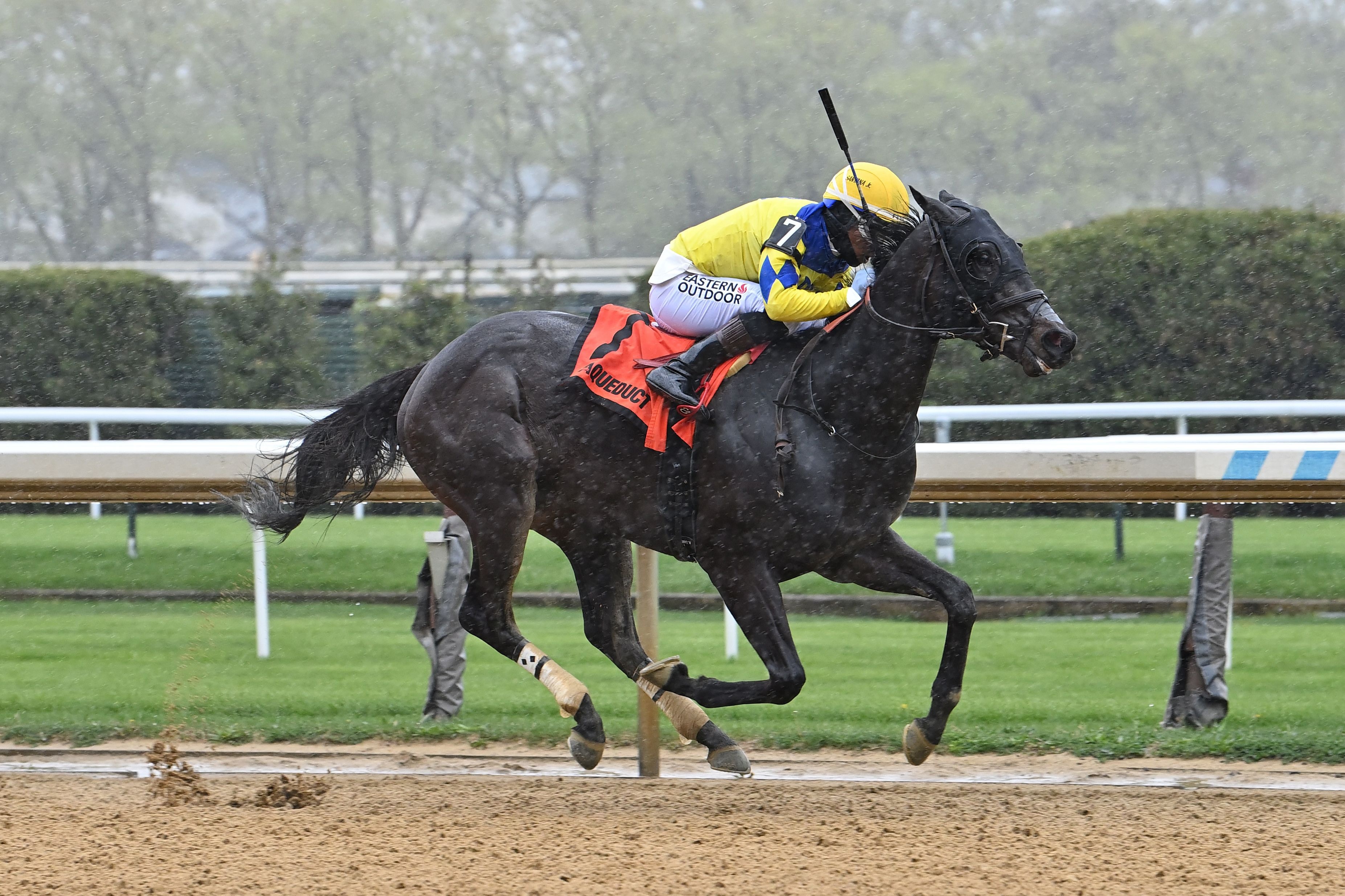 Pretty Boy Miah captures an Aqueduct allowance