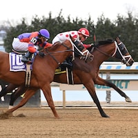 Prince Valiant breaking his maiden at Aqueduct (Photo by Coglianese Photos)