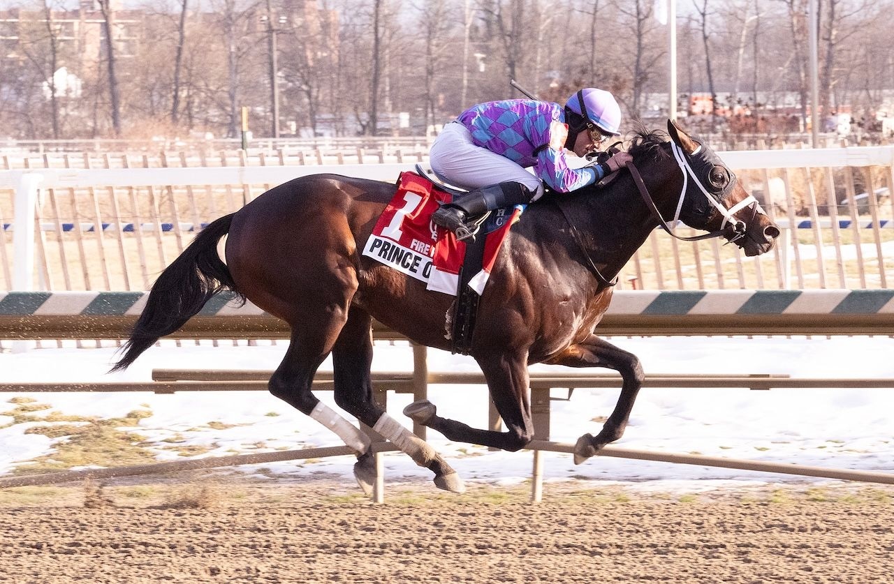 Prince of Jericho wins the Fire Plug at Laurel Park.