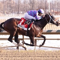 Prince of Jericho wins the Fire Plug at Laurel Park.