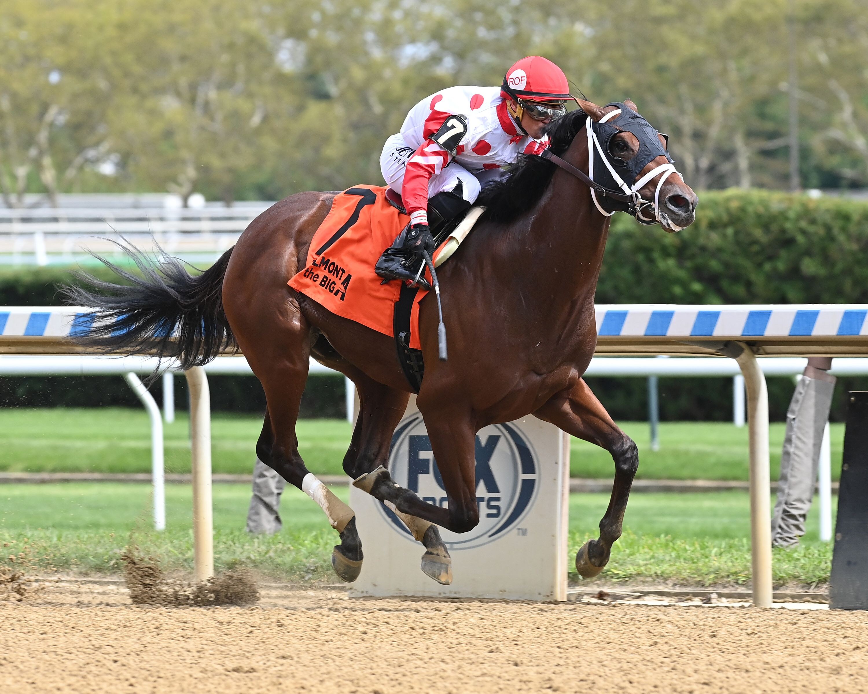 Private Desire breaks maiden at Aqueduct
