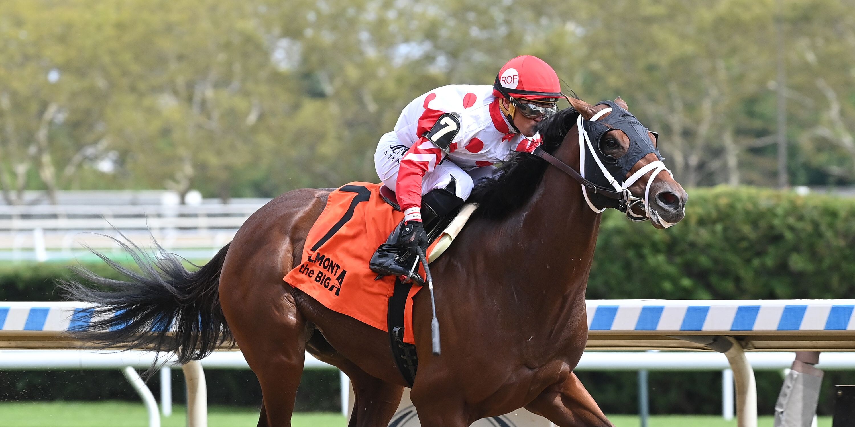 Private Desire breaks maiden at Aqueduct