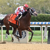 Private Desire breaks maiden at Aqueduct