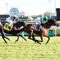 Proctor Street accelerated best in the Cardinal S.