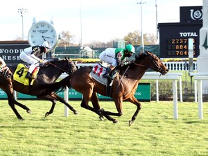 Proctor Street accelerated best in the Cardinal S.