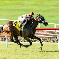 Proletariat equaled the stakes record when wiring the Oceanside H. 