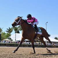 Prom Queen wins the Gulfstream Park Oaks at Gulfstream Park.