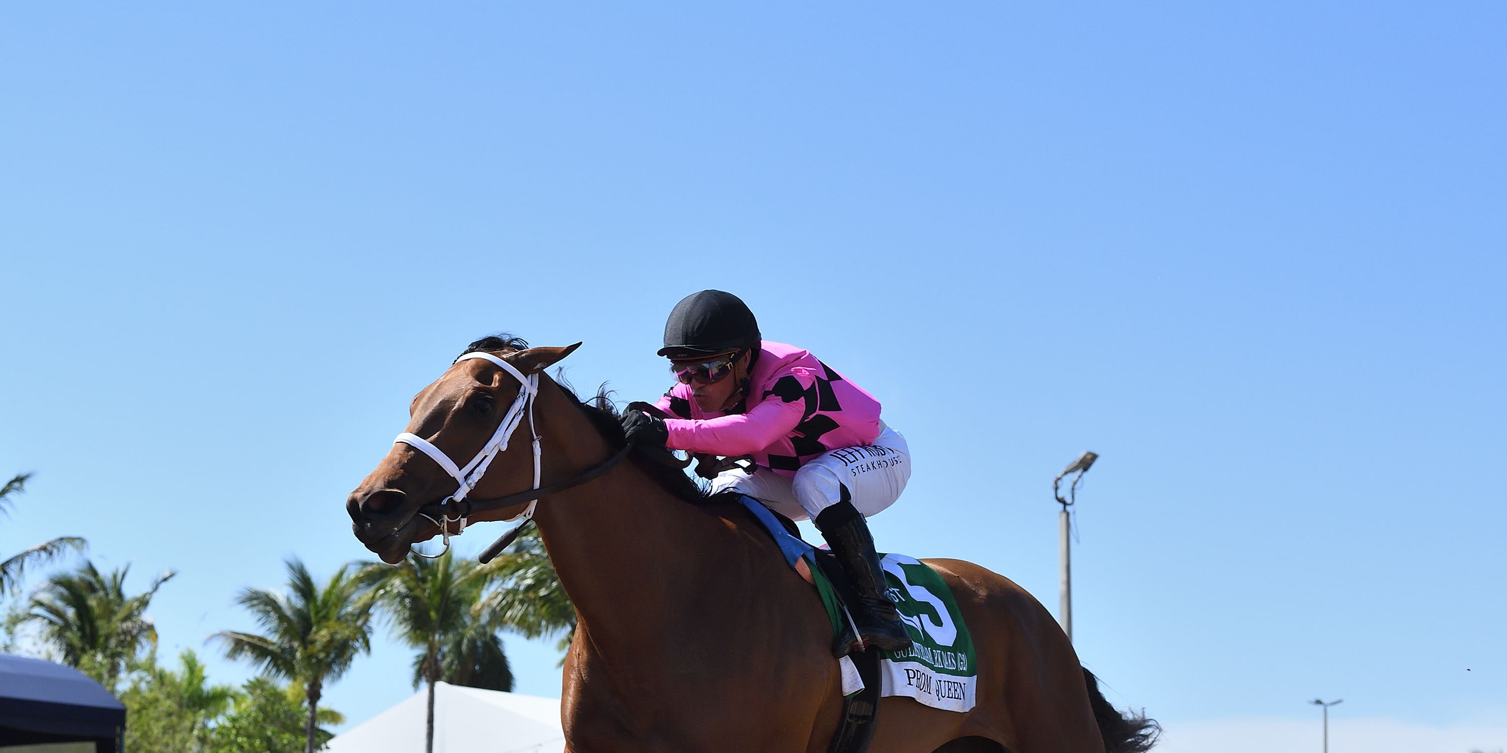 Prom Queen wins the Gulfstream Park Oaks at Gulfstream Park.
