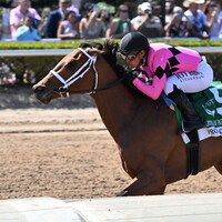 Prom Queen wins the Gulfstream Park Oaks at Gulfstream Park.