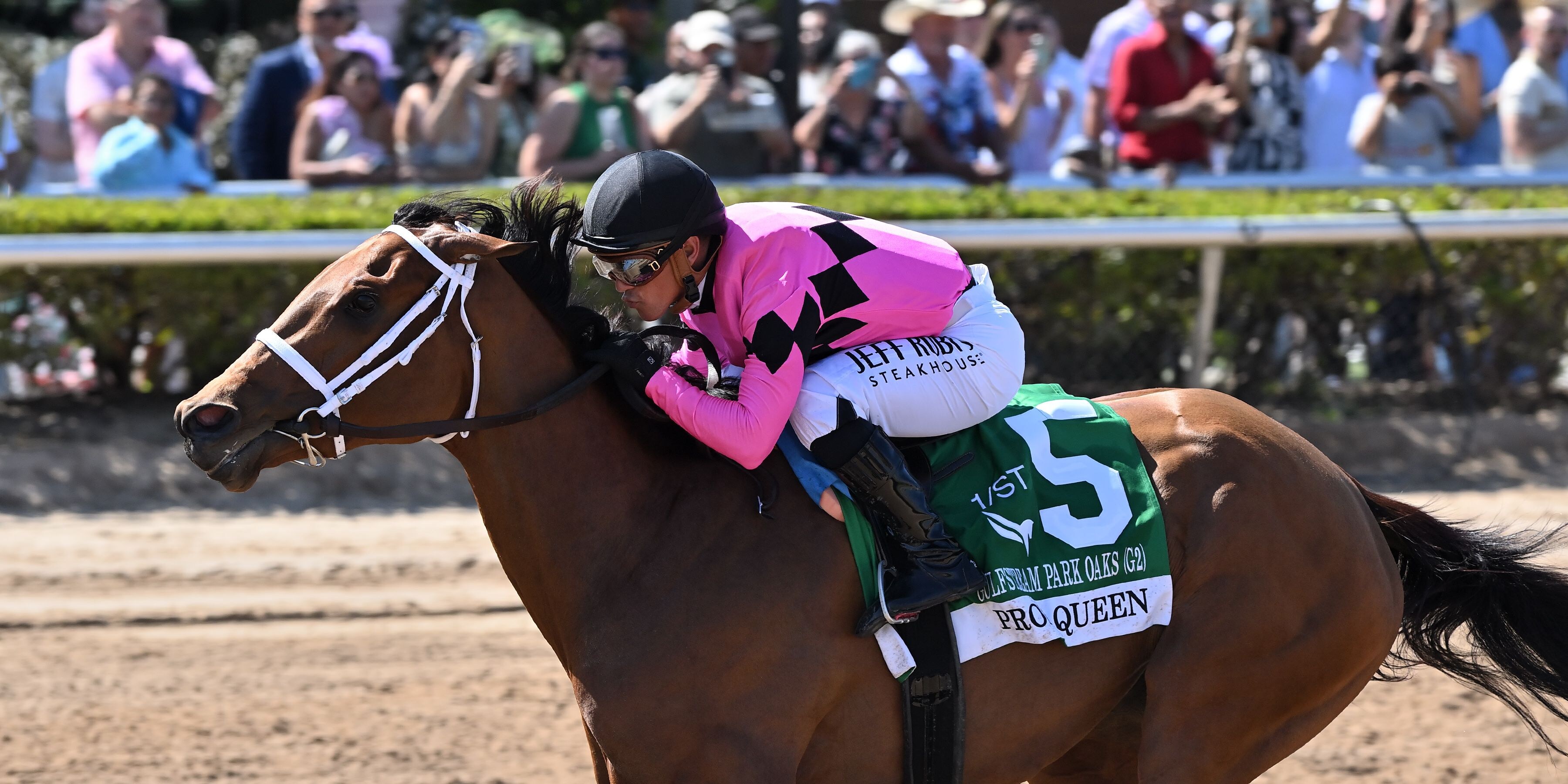 Prom Queen wins the Gulfstream Park Oaks at Gulfstream Park.